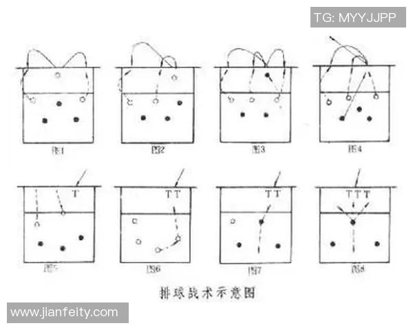 上海排球队灵活性分析与战术调整研究报告