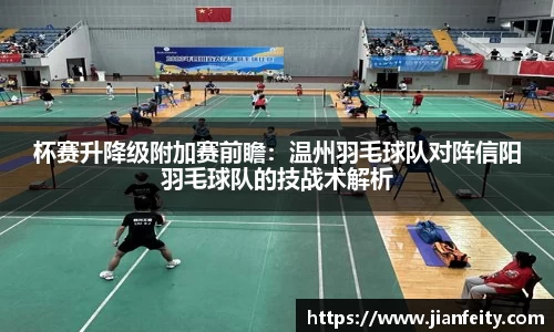 杯赛升降级附加赛前瞻：温州羽毛球队对阵信阳羽毛球队的技战术解析